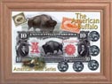 Edgar Marcus Coin Displays